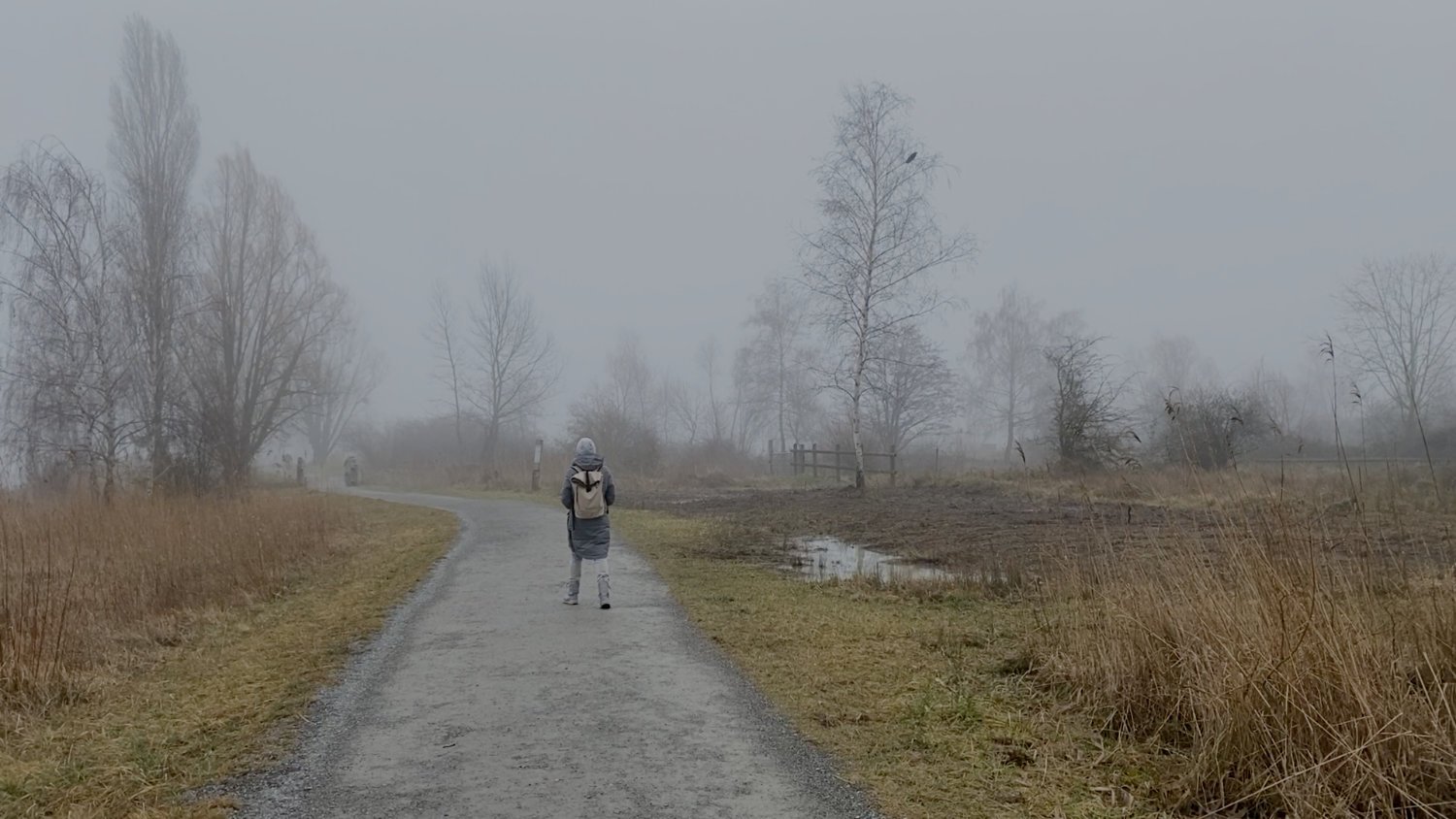 Color Grading Snow – Nachher (Color Grading)