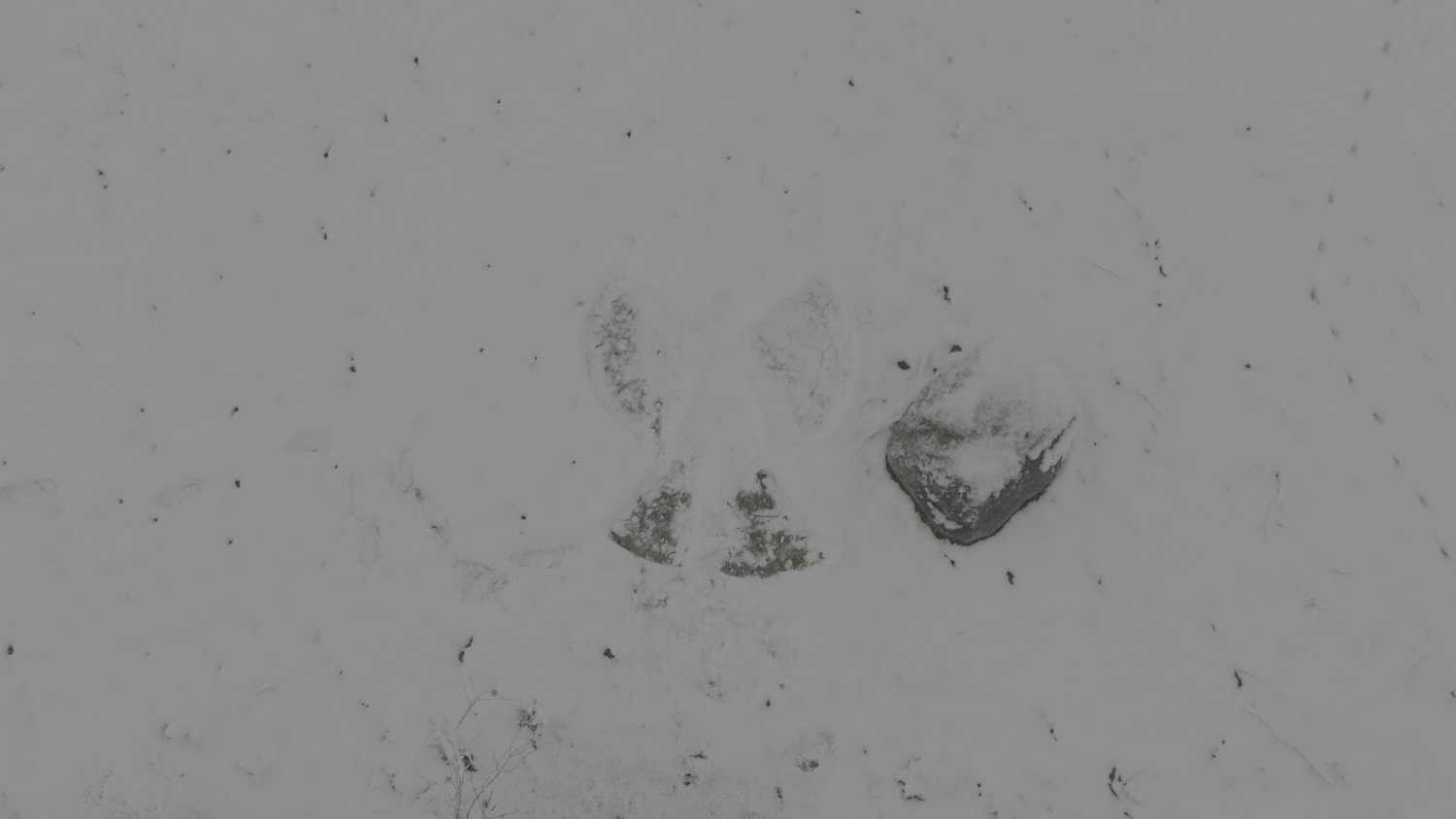 Color Grading Snow – Nachher (Color Grading)