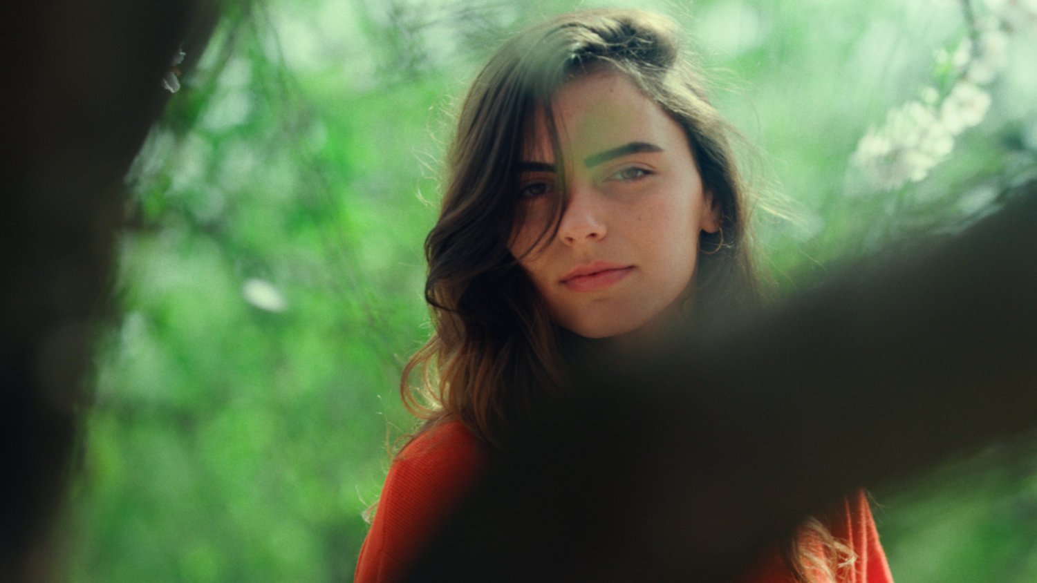Color Grading Garten – Nachher (Color Grading)