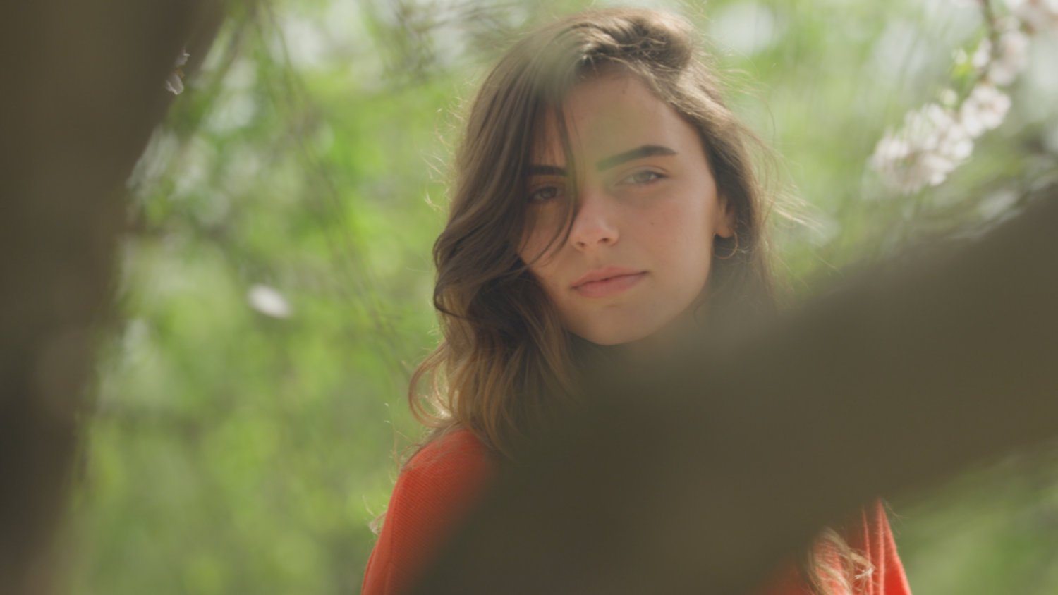Color Grading Garten – Vorher (Original)