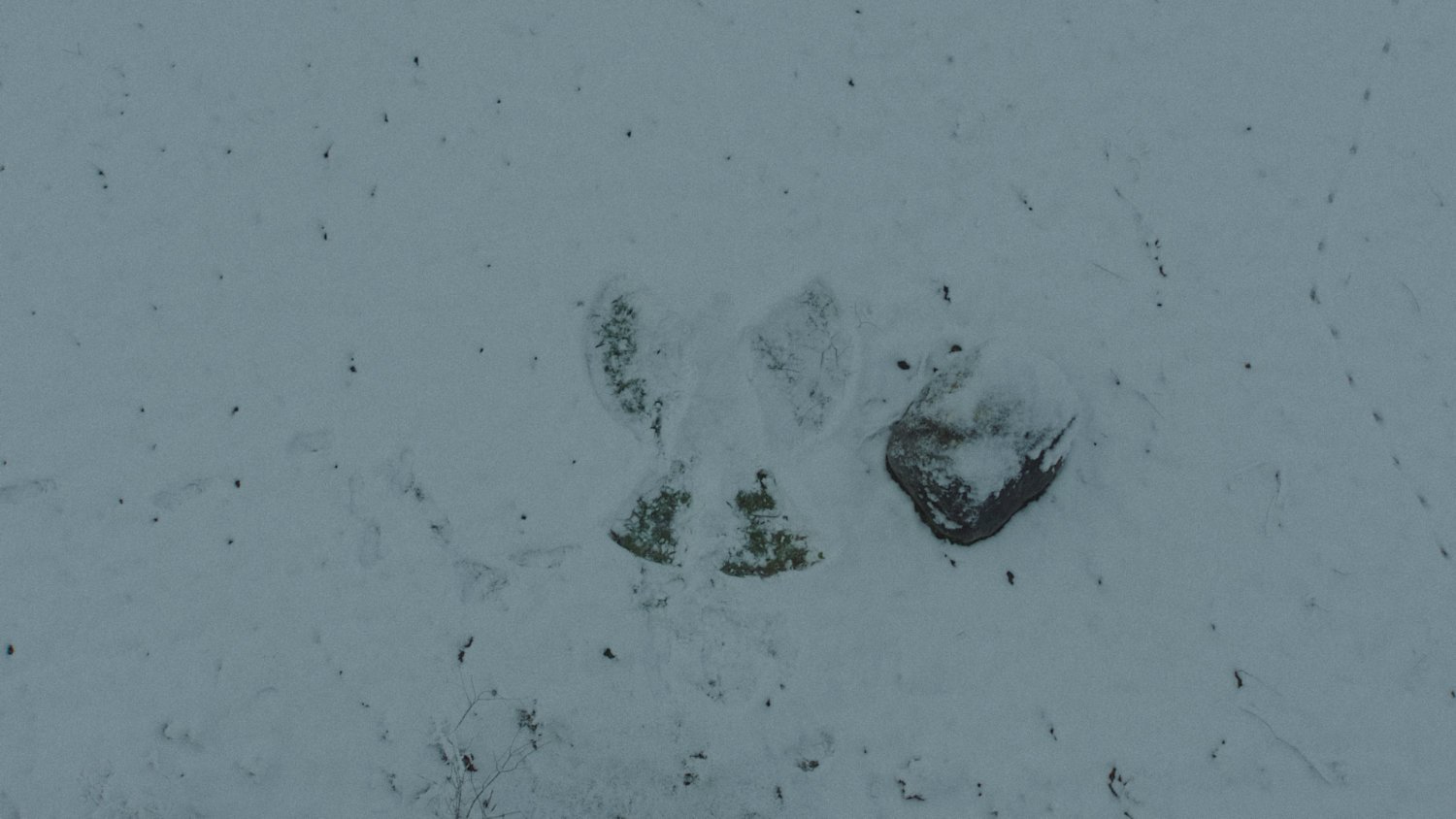 Color Grading Snow – Vorher (Original)