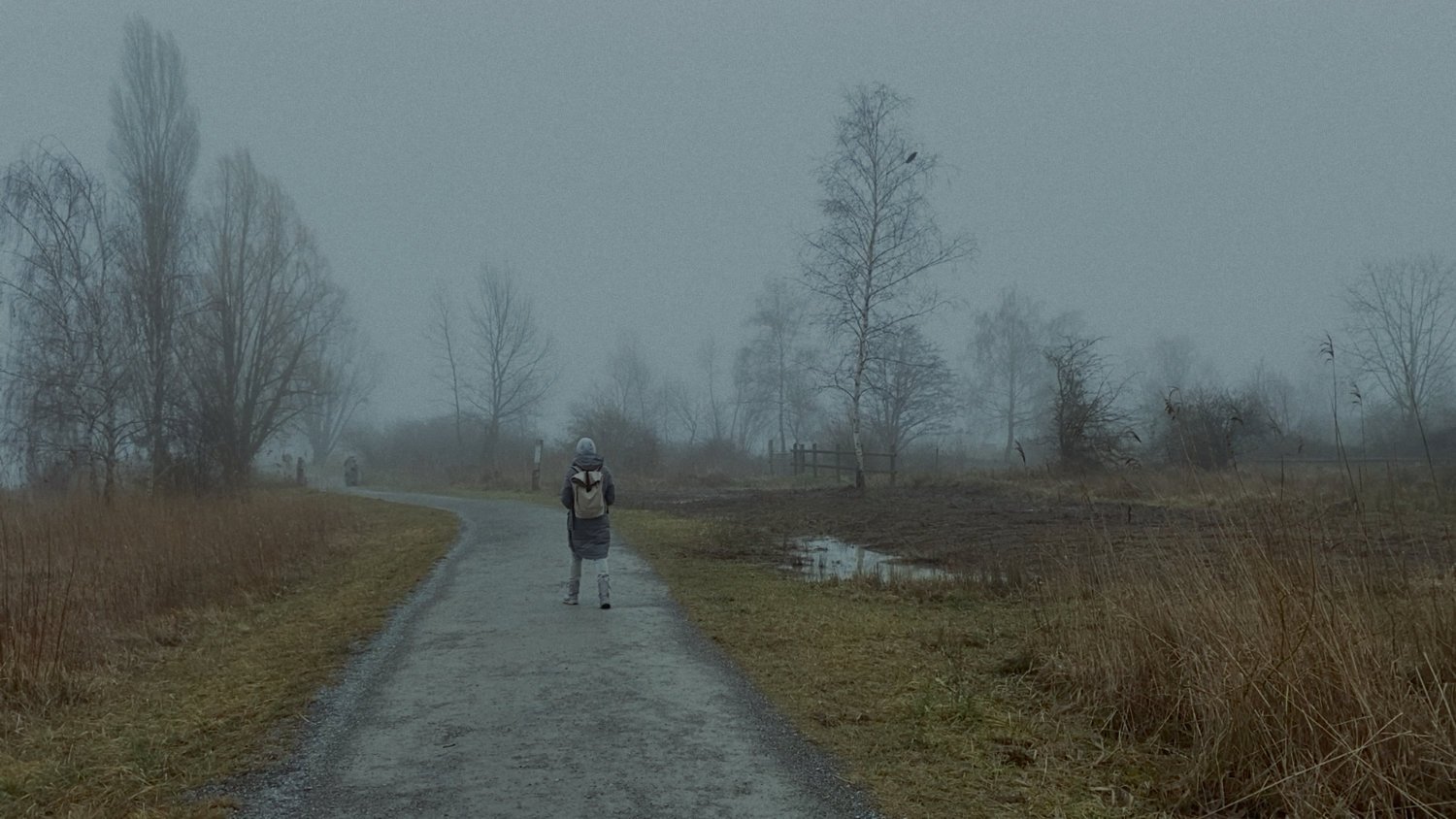 Color Grading Snow – Vorher (Original)