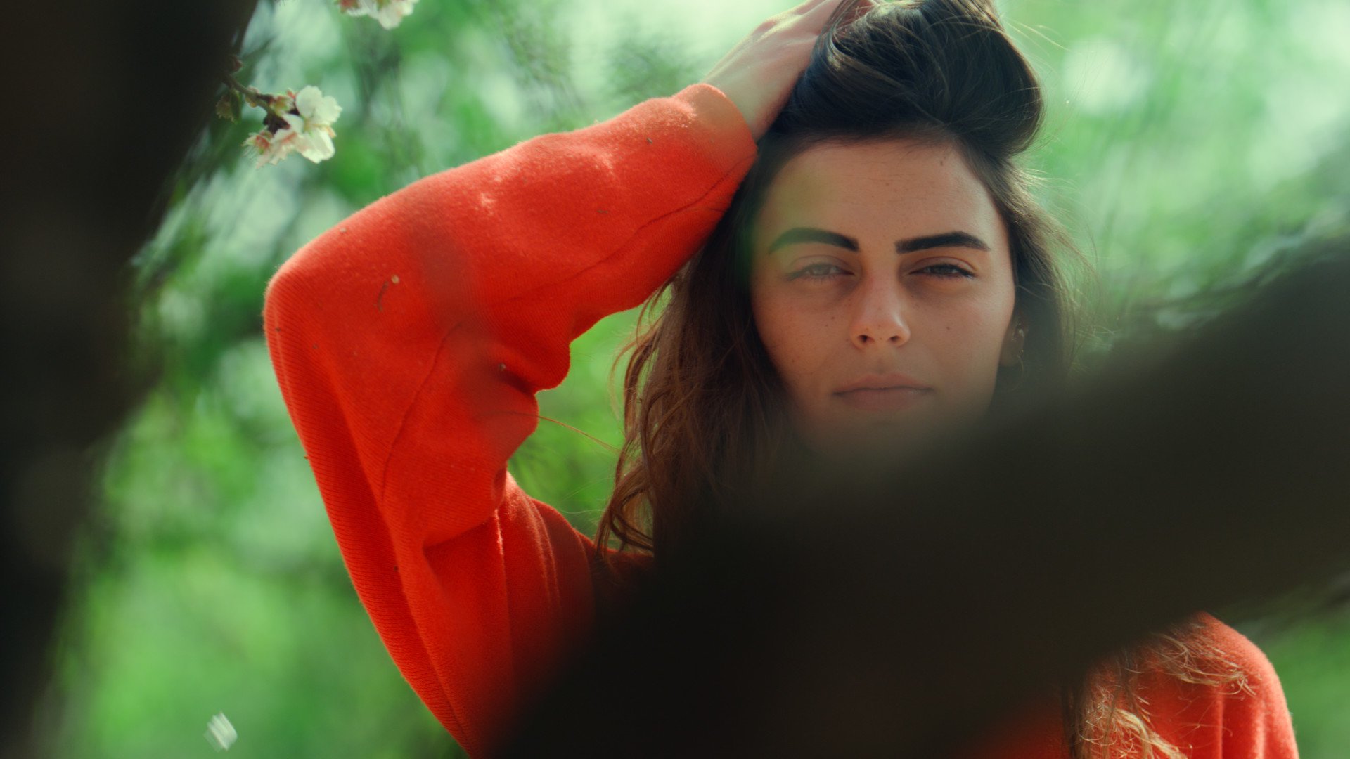 Color Grading Garten